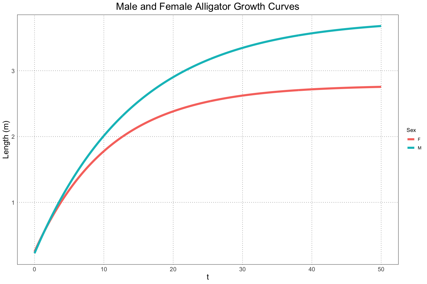 Male and female alligator growth cruves