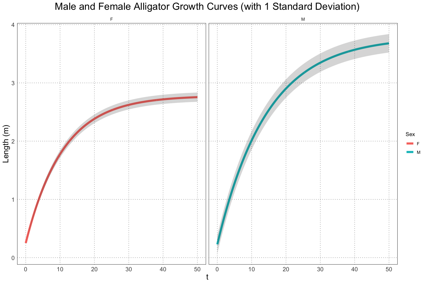 Male and female alligator growth curves (with 1 standard deviation)