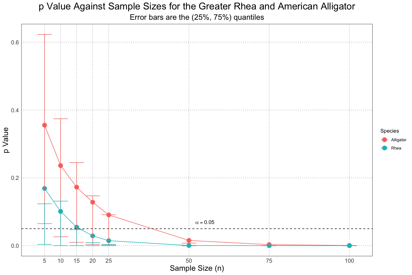 p Value against sample sizes for the rhea and alligator populations