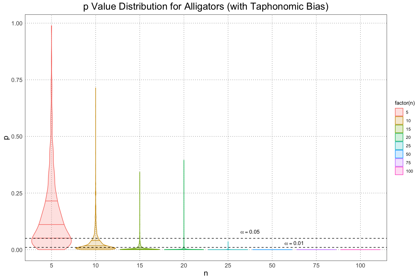 Violin plot of p value against sample size (including taphonomic bias)