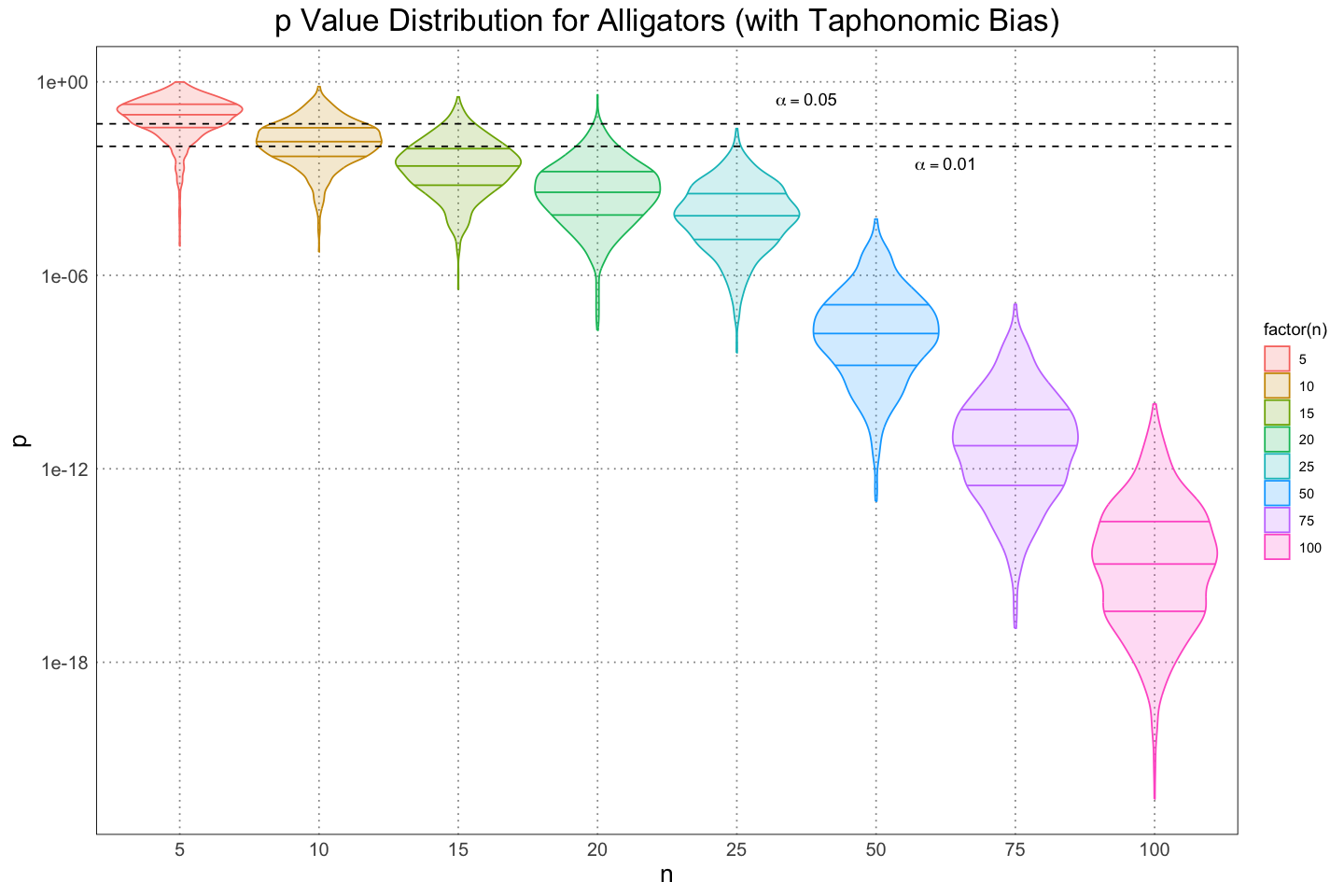 Violin plot of p value against sample size (including taphonomic bias)