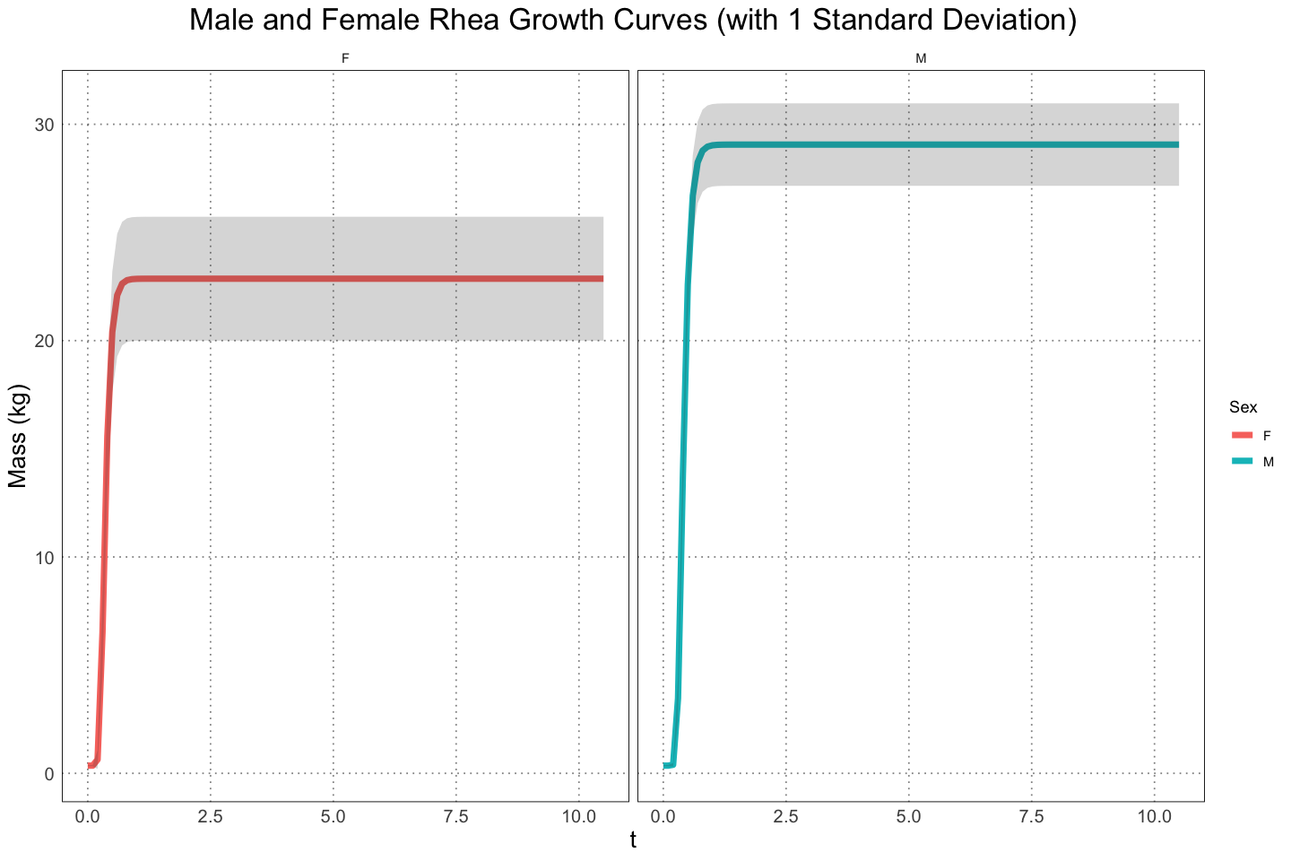 Male and female rhea growth curves (with standard deviation)